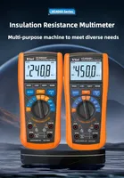 2-in-1 True RMS Insulation Resistance Tester & Multimeter, 6000 Counts, 2GΩ@1000V, NCV, Voltage, Capacitance, Frequency Meter