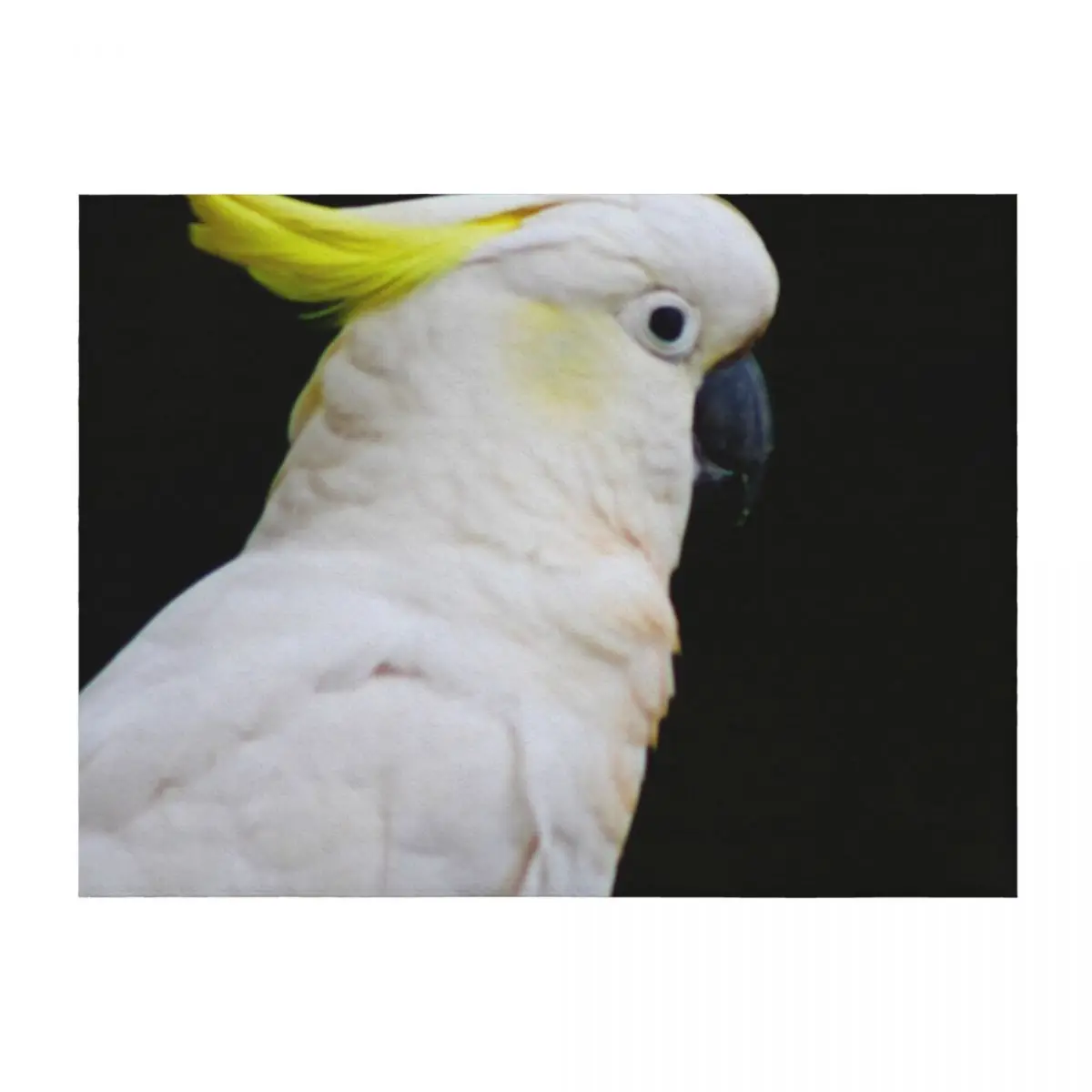 

The Cockatoo! Throw Blanket Luxury Designer Thermals For Travel Furry Softest Blankets
