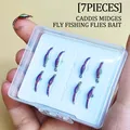 7Pcs-Box