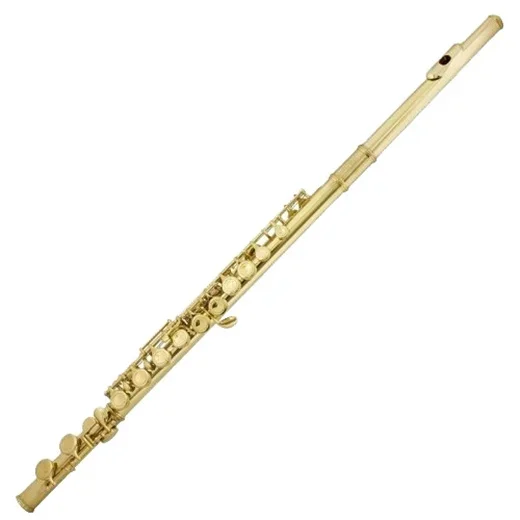 

Leather Case, Gold Wood Flute, Nickel Plated Surface 16 Holes