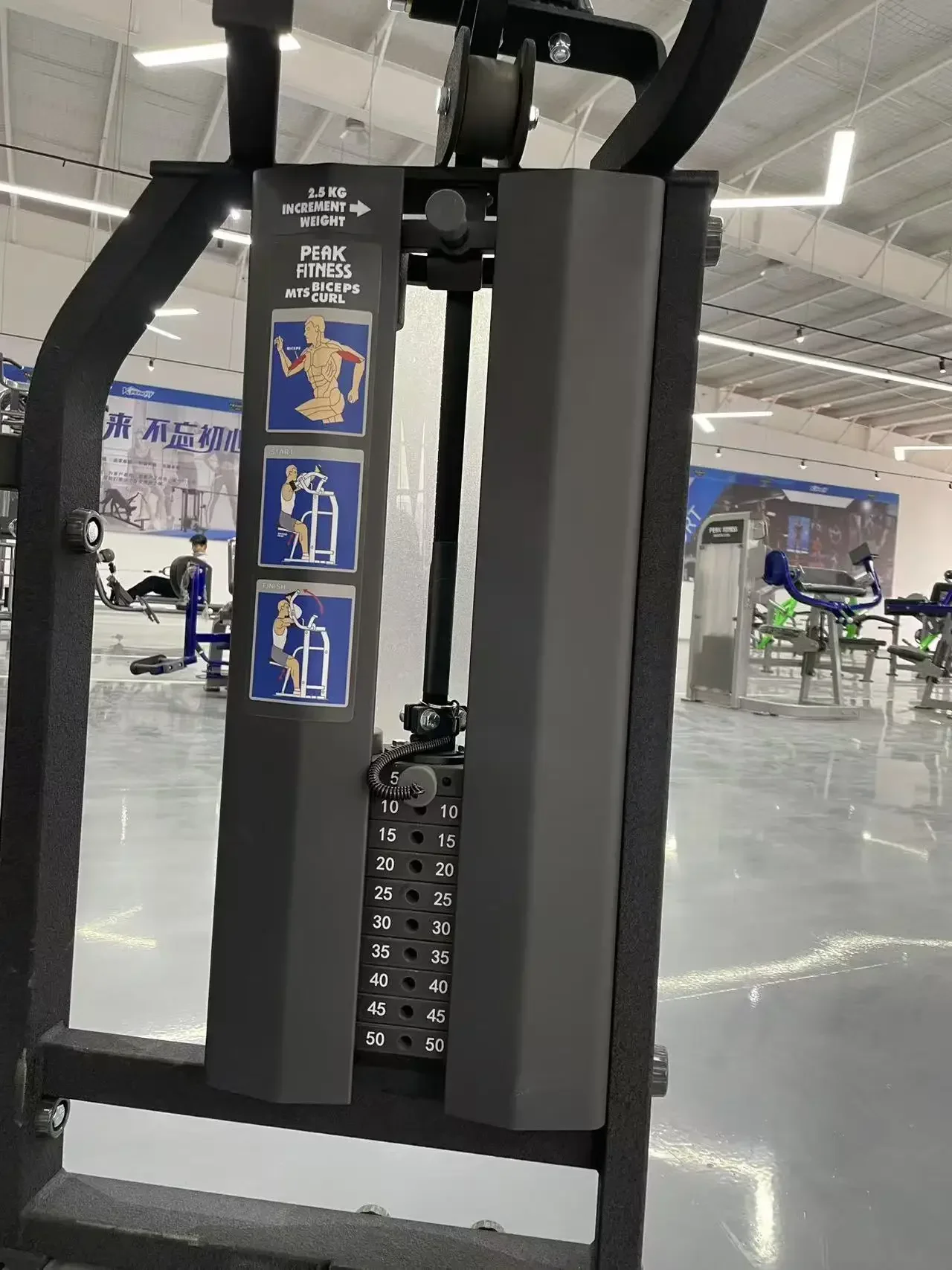 Newly Upgraded Commercial Gyms Fitness Equipment Muscle Trainers, Ipsilateral Up Arm Curves With Counterweights