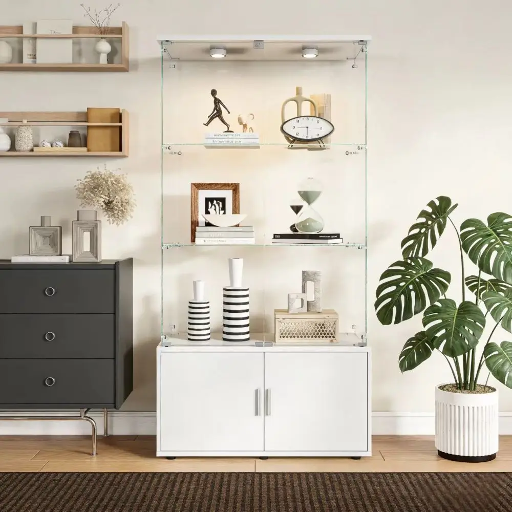 Cabinet interior showing shelf space