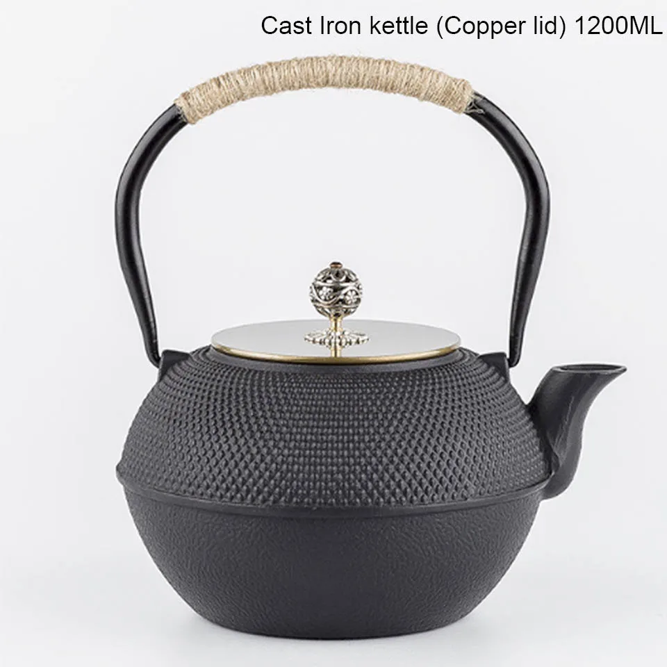 Japanese Cast Iron Teapot Handmade Tetsubin Gas Stovetop Water Kettle Black Teapot With Infuser Filter Kung Fu Tea Set