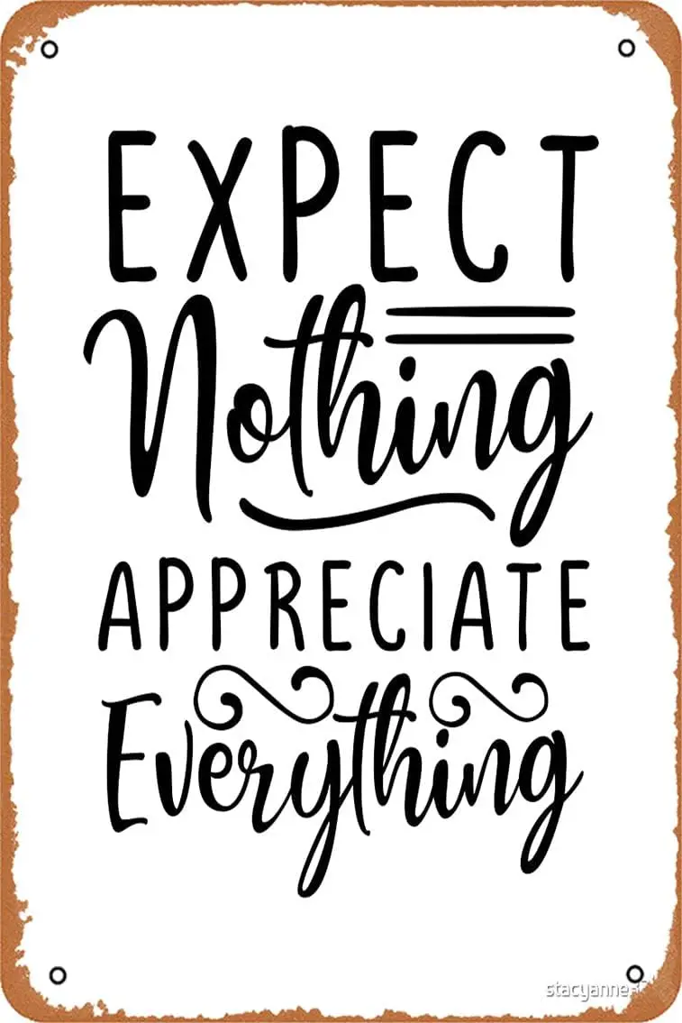 Yzixulet Inspirational Quotes Expect Nothing Appreciate Everything Mounted Print Vintage Metal Sign Tin Sign 12 x 8 Inches