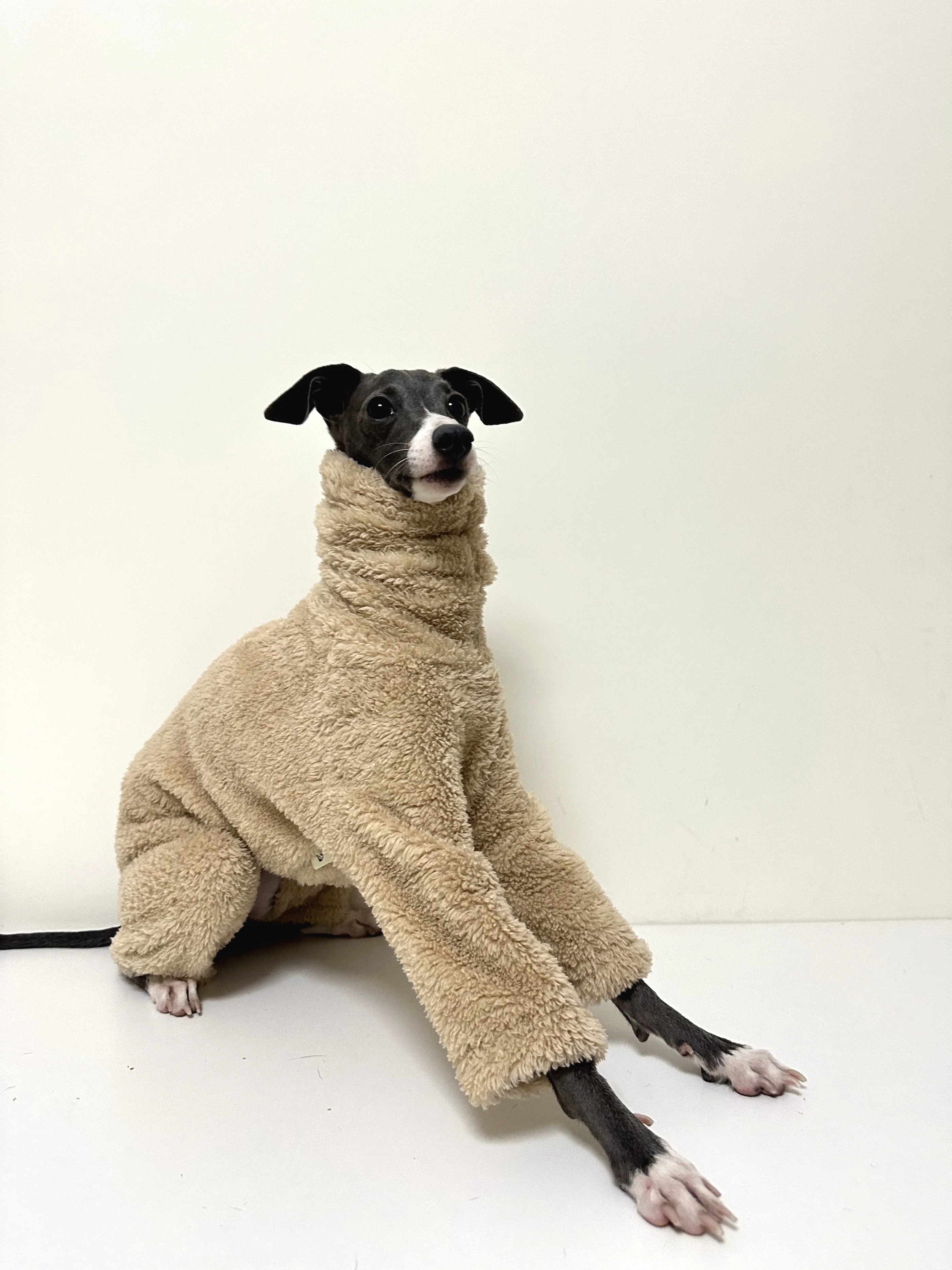 Winter Four-legged Italian Greyhound Dog Clothes Double Side Whippet High Collar Brown Jumpsuit for Small Media Large Dogs