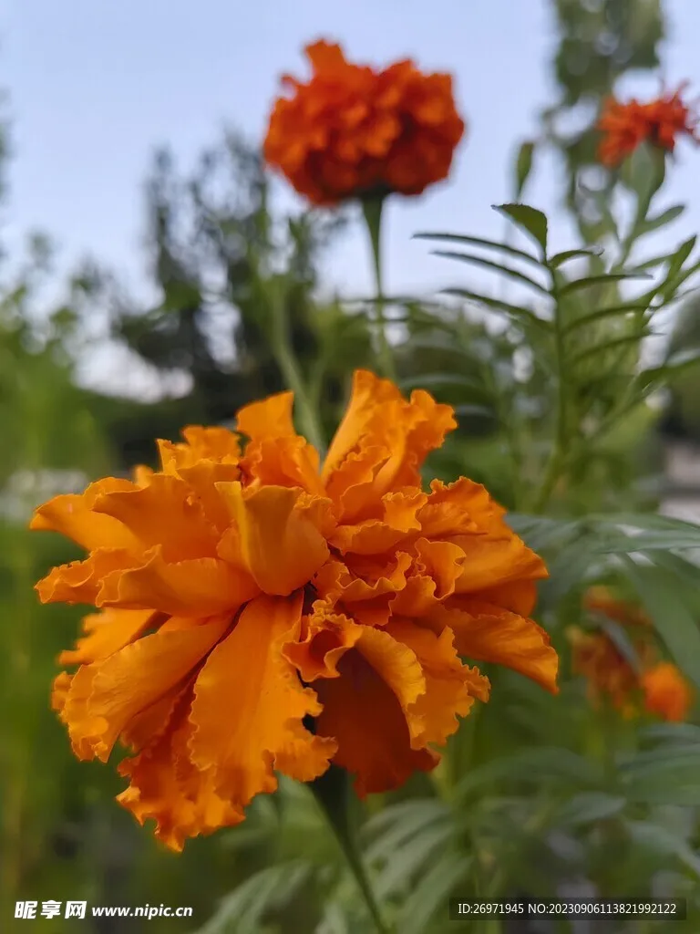 

Металлические детали для модернизации RC-машинок, балки-опоры, подходят для радиоуправляемых машинок MN 1/12 TK300 MN300, аксессуары.