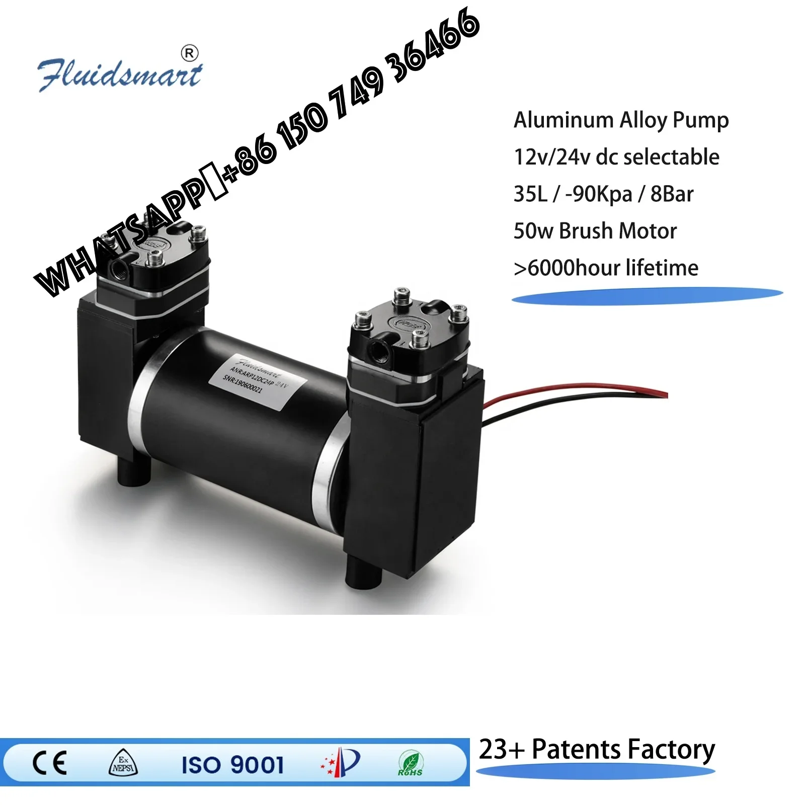 

ARP12DC12P 30LPM Double Suction Piston Vacuum G as Pump Small Pump High Pressure Micro air Pumps for Automation Industry