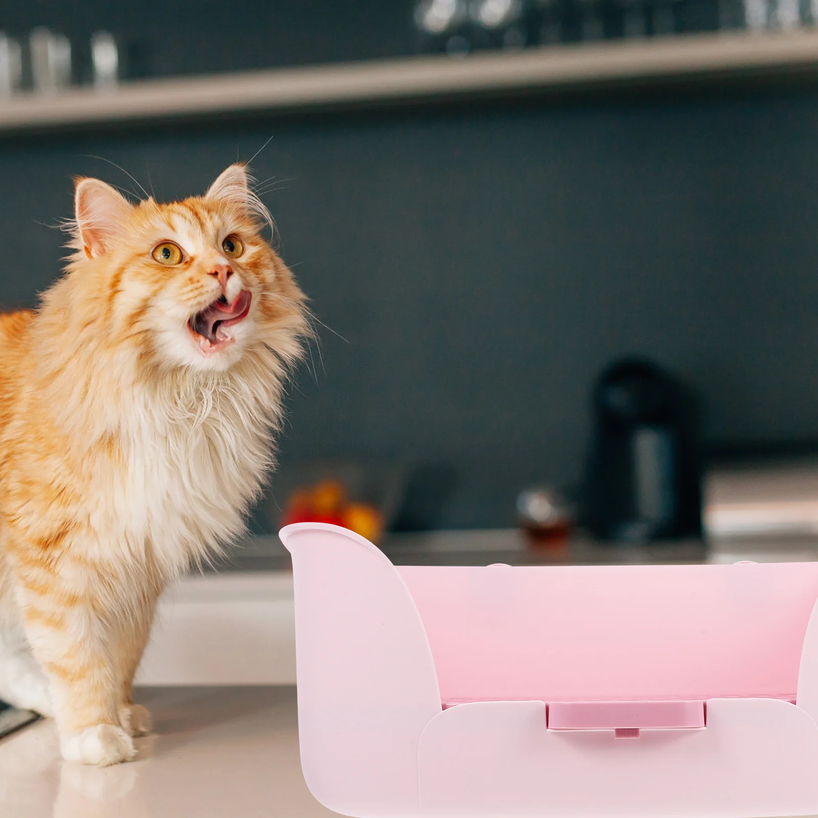 

Rabbit Litter Box Large Pet Toilet For Guinea Pigs Hamster Small Animal Potty Trainer Bunny Cage Bathroom Kitchen Use