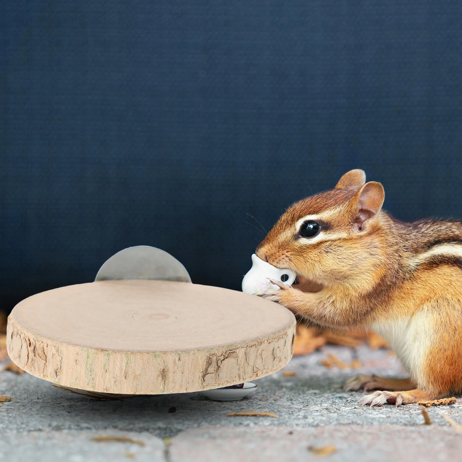 

Wooden Platform Pet Perch Stand Detachable Small Animal Exercise Board for Hamster Squirrel Chinchilla Parrot Cage Accessories