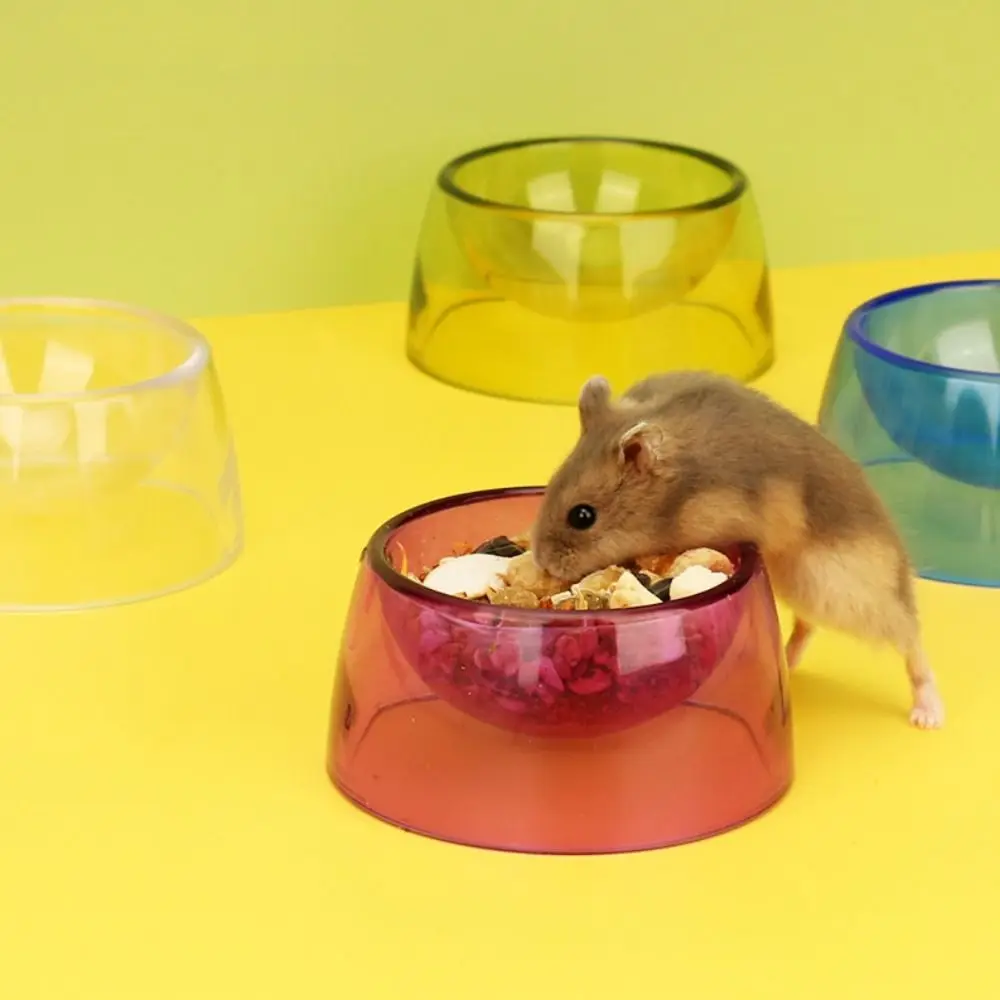 Bite Resistant Hamster Food Basin Plastic Transparent Rat Food Water Dish Non-slip Hamster Water Bowl