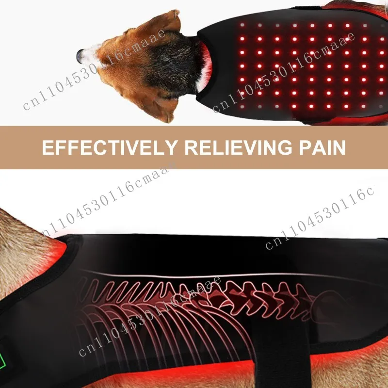 S Code Red Light Physiotherapy Cats and Dogs Back Abdominal Injury Recovery Fracture Healing Home Wireless Portable Timing