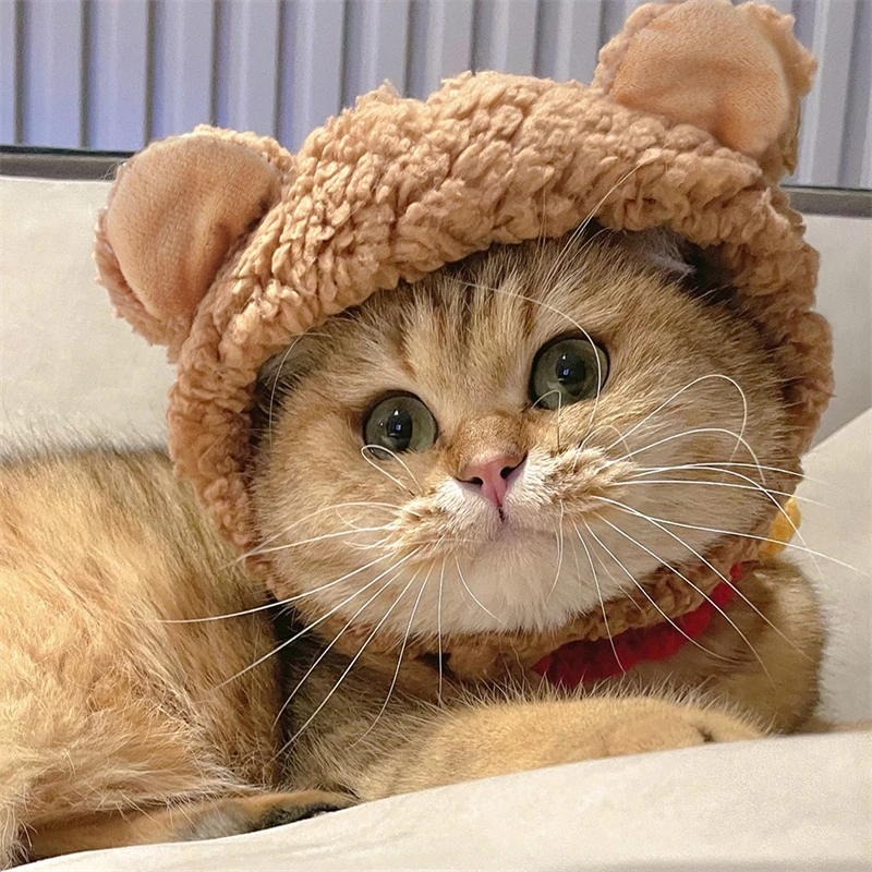 Cute Bear Shaped Hat for Cat Christmas Protective Pet Dogs Cosplay Head Wear York Solid Color Winter Kitten Costume Accessories