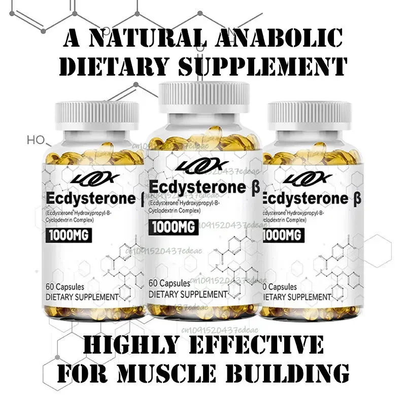 Ecdysterone Capsule Muscle Mass Increase Size Anabolic Activity Support Muscle Development Physical Strength Increase