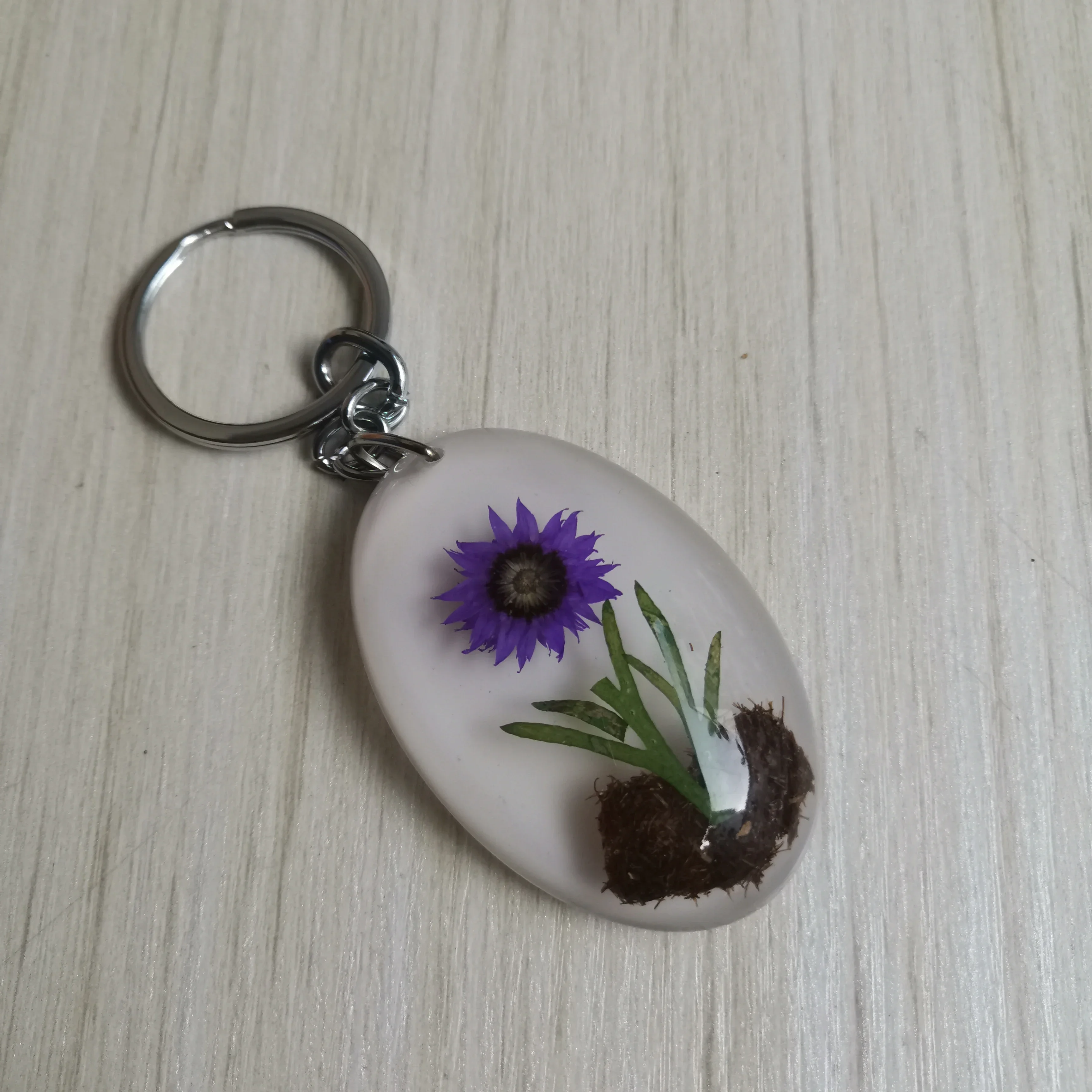 21 قطعة سلسلة المفاتيح الراتنج الحشرات عينة كراب العنكبوت العقرب الذهبي السلاحف دبور المجرف خنفساء الفاصوليا الحمراء النمل مفتاح سلسلة