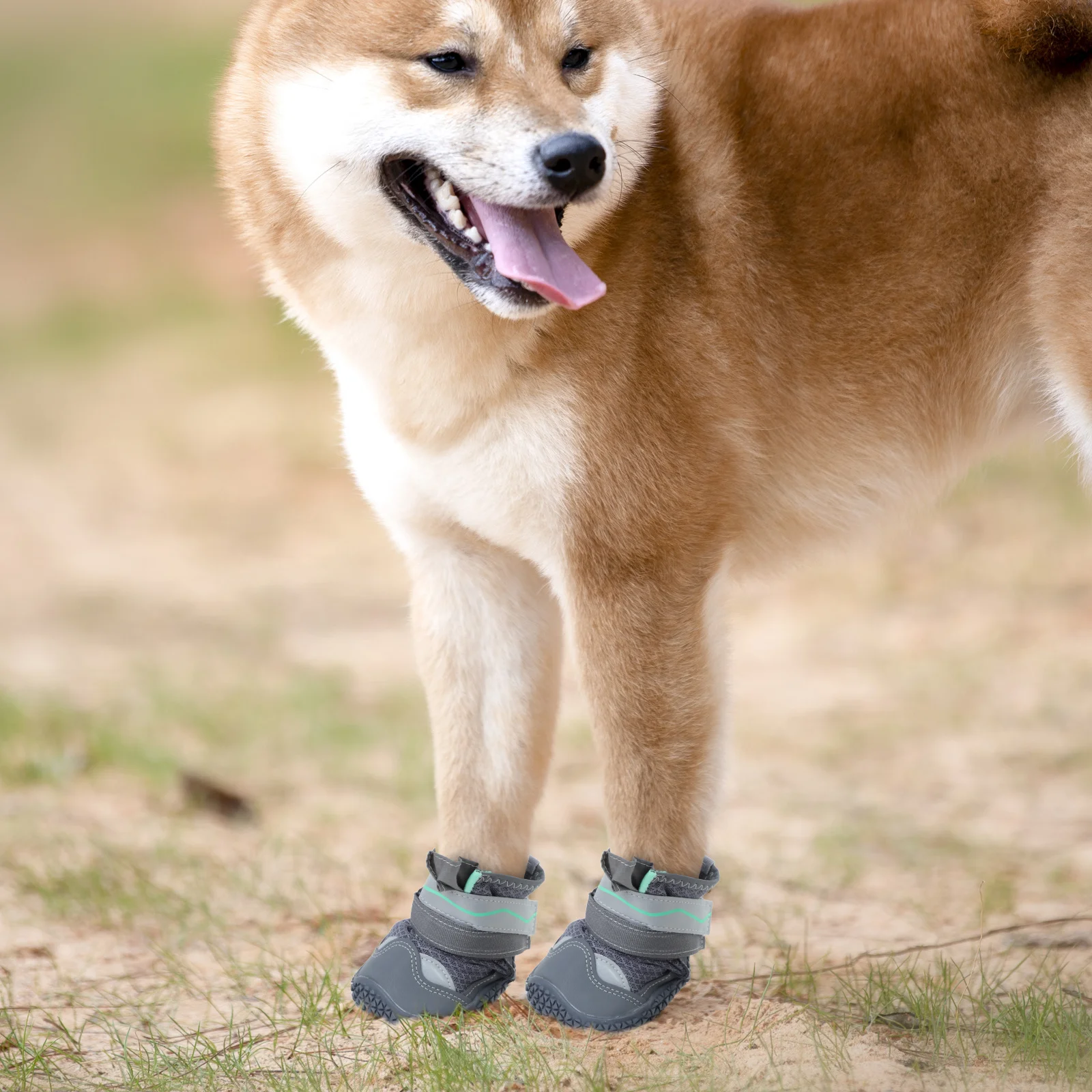

4Pcs Breathable Dog Booties Non-Slip Small Dog Shoes Puppy Protective Boots Outdoor Walking Paw Covers Shoes for Small Dogs