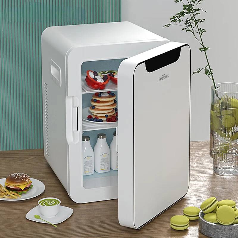 Car Refrigerator Office Rental Dual Use in Car and Home Mini Mini Refrigerator Beauty Breast Milk Heating and Cooling Box