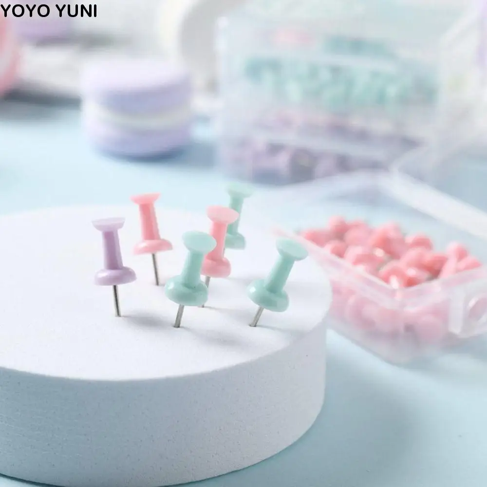 

Colorful Macaron Color Pushpin Thumbtac Fixing Pin Small Fresh Board Push Pin Plastic Thumb Tacks Wall Markers