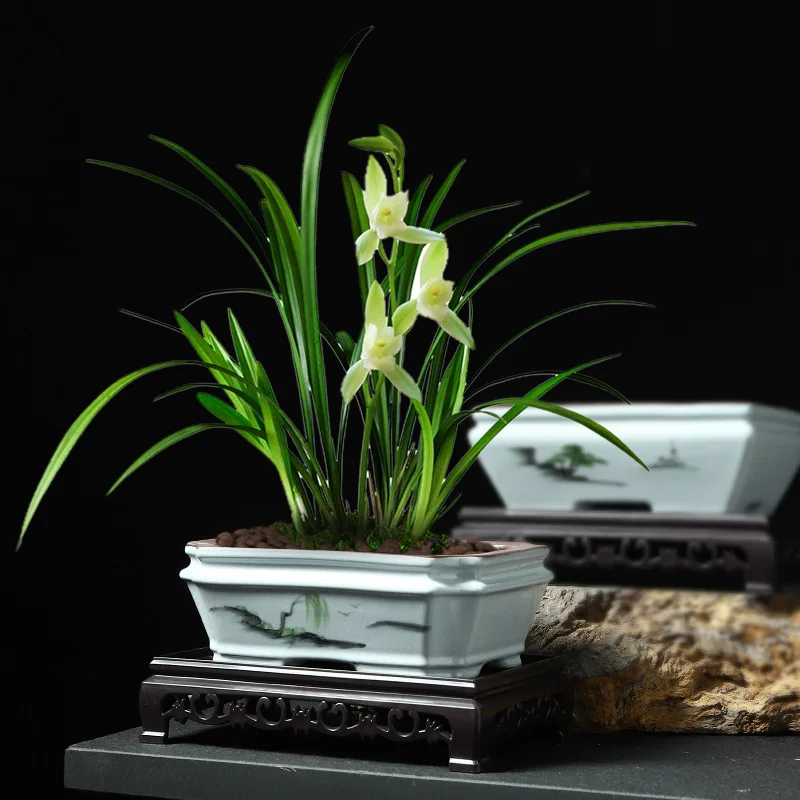 New Chinese-style small square pot pure hand-painted indoor green plant ceramic flower pot