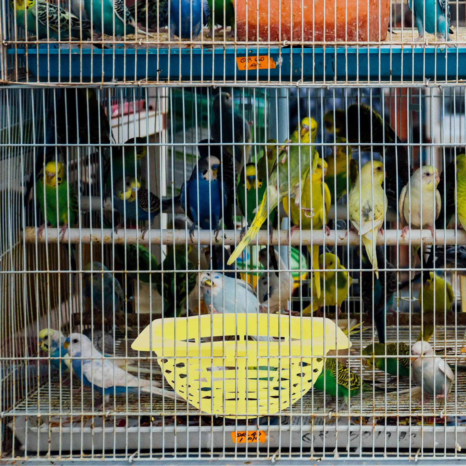 

2 Pcs Parrot Nest Bird Basins Useful Breeding Nests Plastic Thrush Hatching Small Practical Simple Birds