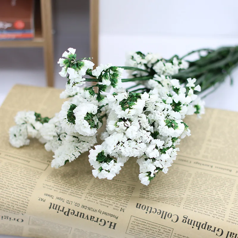 Natural Forget Me Not Dried Flowers Bouquets Valentines Gift Wedding Decoration Boho Decor Party Christmas Home Garden