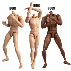 1/6 Scale Narrow Shoulder Caucasian Male Body Model B001/B002/B003/B004/B005/B006/B007 Upgrated Version For 12