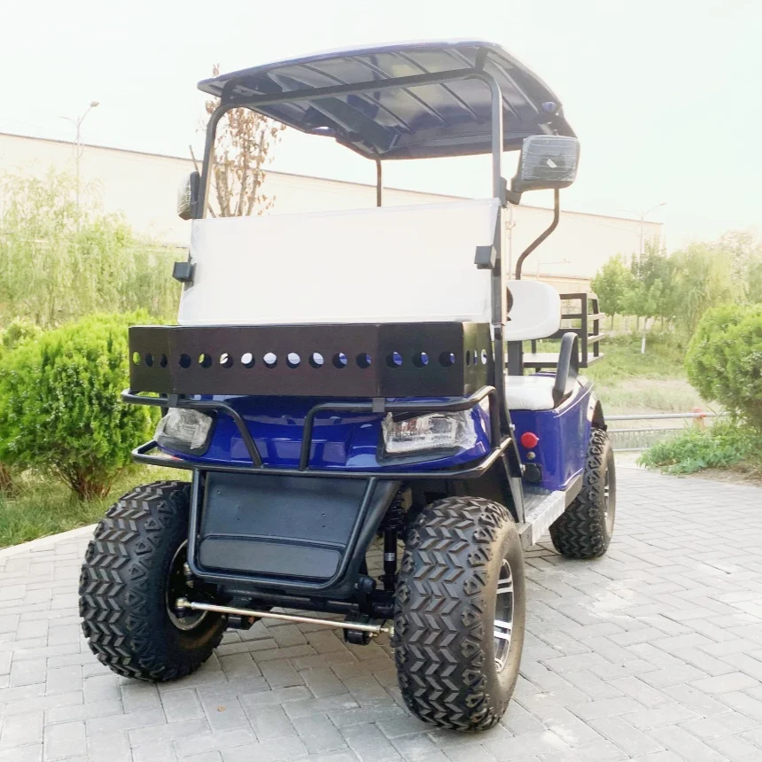 Electric Golf Cart Free Custom Color Golf Cart Model A 2 Seat Rear Cargo Box Front Bumper And Front Basket Electric Golf Cart