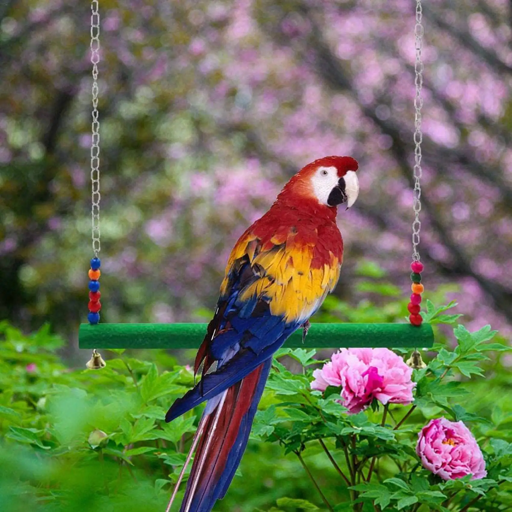 ABFY-2X Chicken Swi…