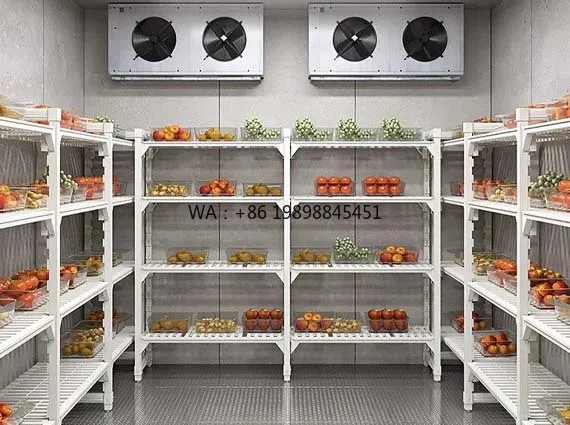 Beef Fish Meat Cold Storage Cool Room Freezer Refrigeration Solar Power System Compressor Container Freezer