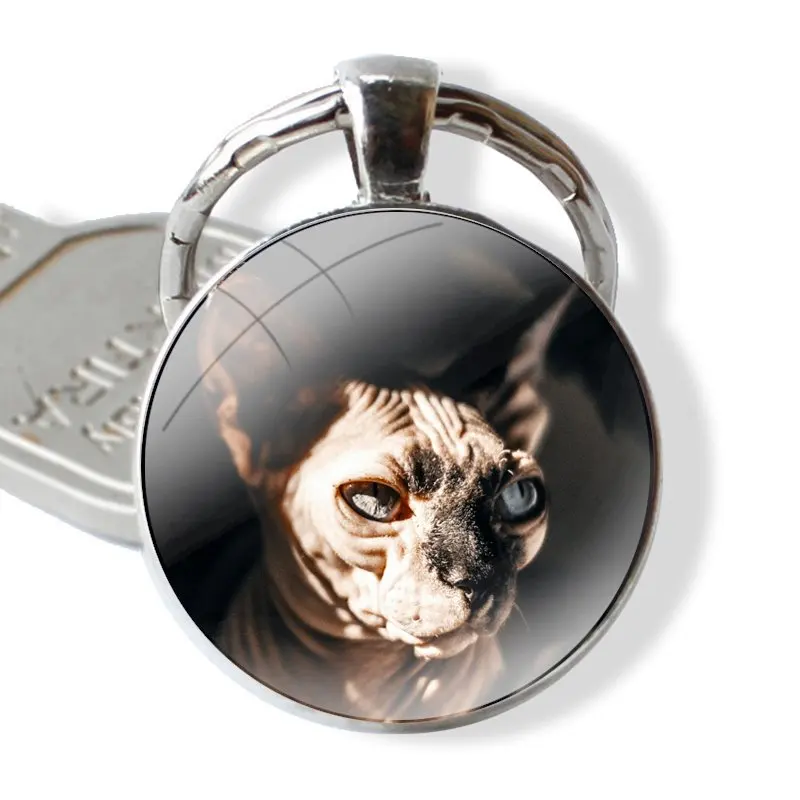 25mm Glass Cabohcon Keychain Key Rings for Women Men Jewelry Gift Canadian Hairless Beerus cat sphynx cat