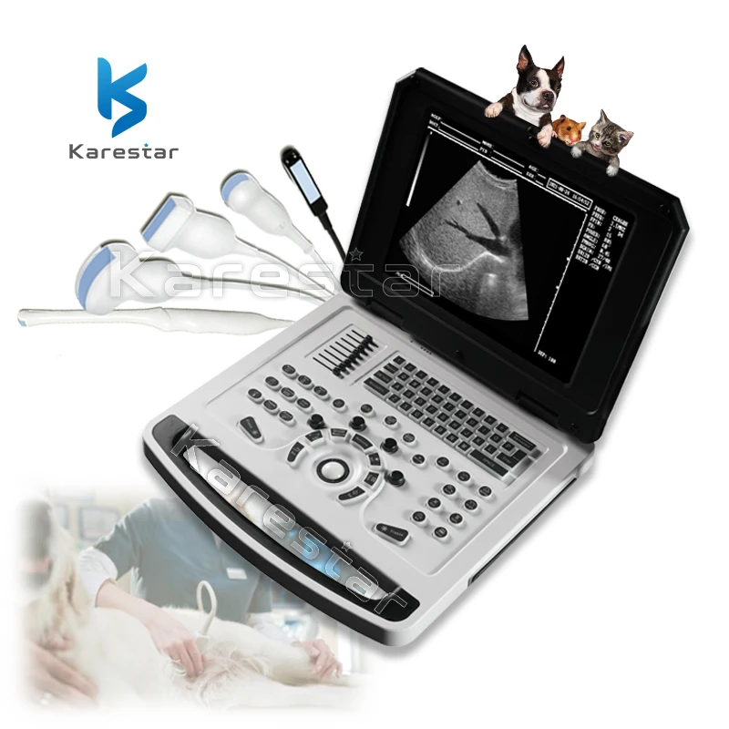 Wholesale Full Digital Veterinary Ecografo 10/12 Inch LCD Display Portable Ultrasound For Animals