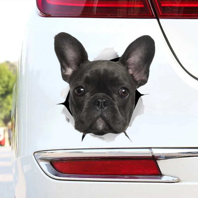 DK215#12x13cm Black French Bulldog Car Stickers Waterproof Vinyl Decal For Truck Motorcycle Scooter Auto Accessories