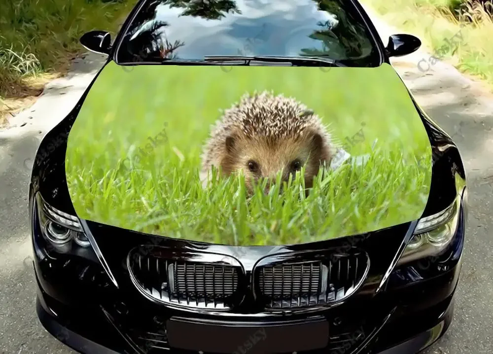 

Hedgehog Animal Car Hood Wrap Color Vinyl Sticker Decal Truck Graphic Bonnet Custom Auto Accessories Decoration Stickers Gift