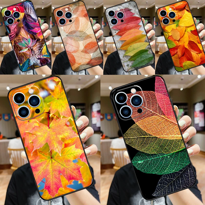 Colorful Leaves For… - image