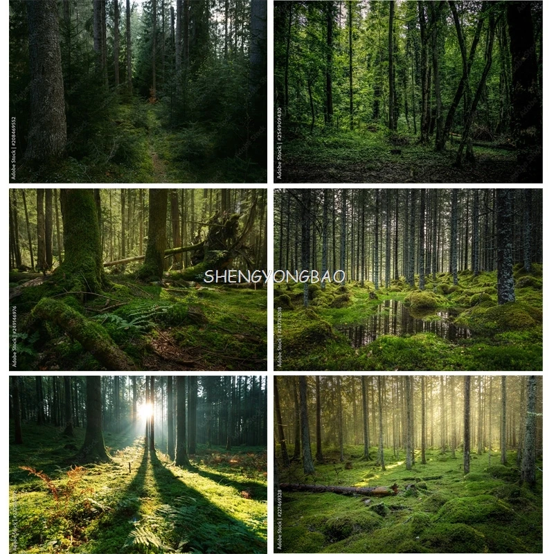 

Mystery Tropical Coniferous Forest Moss Fallen Trees Photography Backdrops Prop Ancient Nature Landscape Theme Background ZL-11