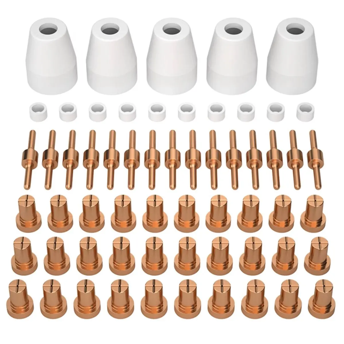 New Trend! 60PCS PT…