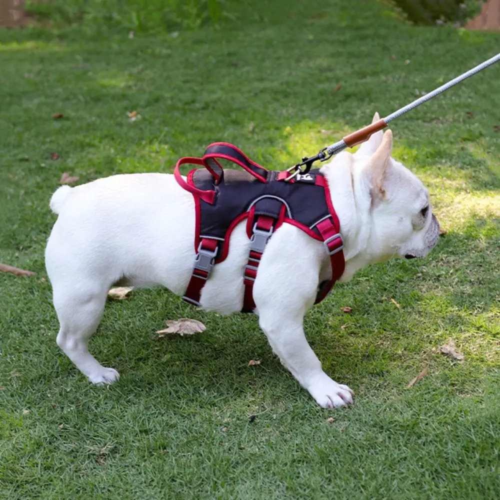 #17 New Dog Car Safety Harnesses Arrivals