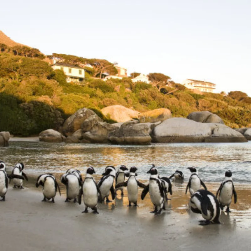 

4 шт., 112 мм, 1/10, шины для грузовиков с шестигранной головкой 12 мм для Slash Arrma Senton HuanQi 727 Vkar 10sc Hpi Rc Car