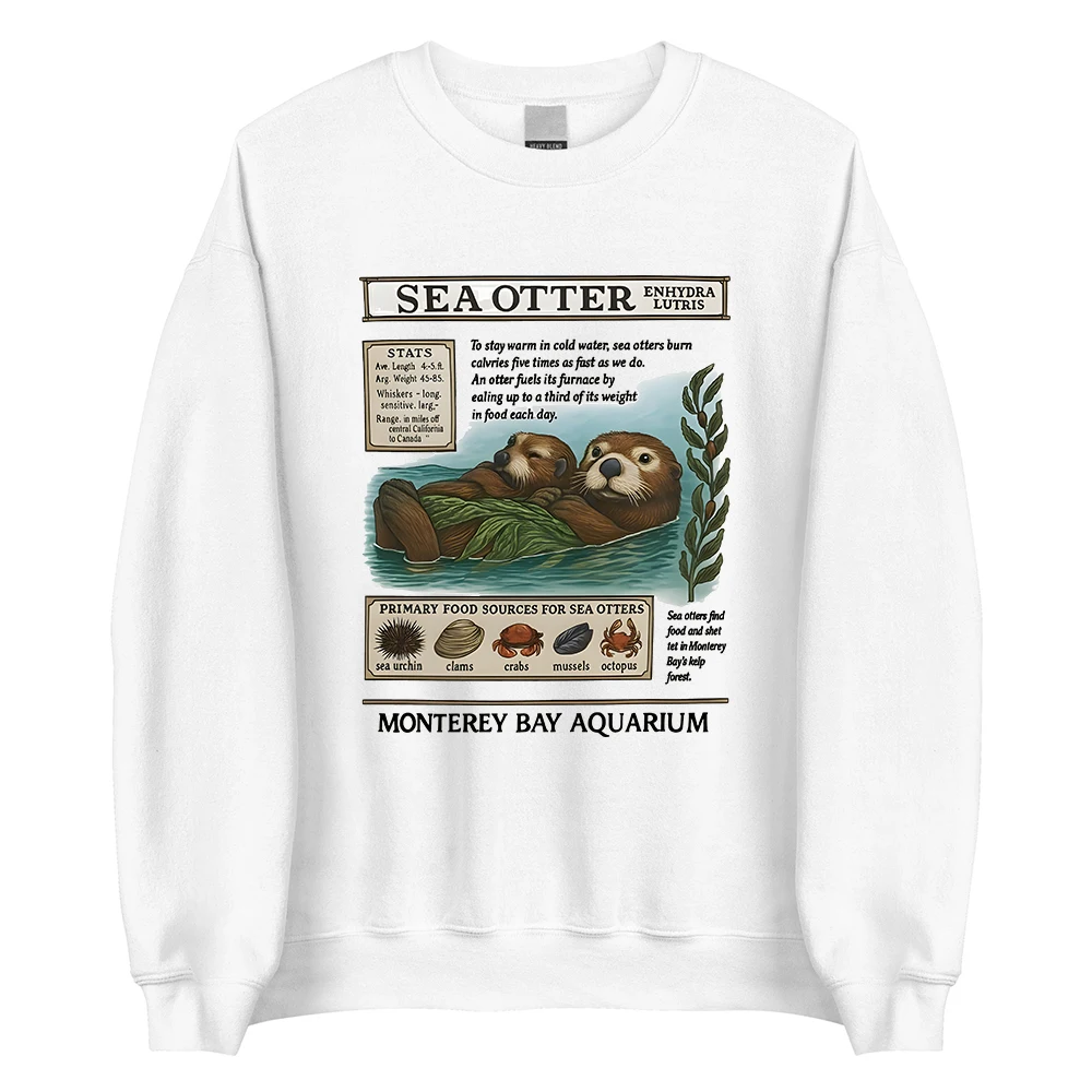 البحر قضاعة مونتيري خليج حوض السمك البلوز طويلة الأكمام الإناث الشتاء البلوفرات Crewneck النساء الرجال ملابس كاجوال الشارع الشهير