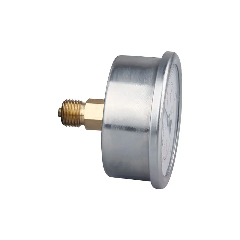 Manômetro de Pressão de Combustível com Glicerina Manômetro Vertical Conexão Traseira Axial 63 mm 160 Bar 14