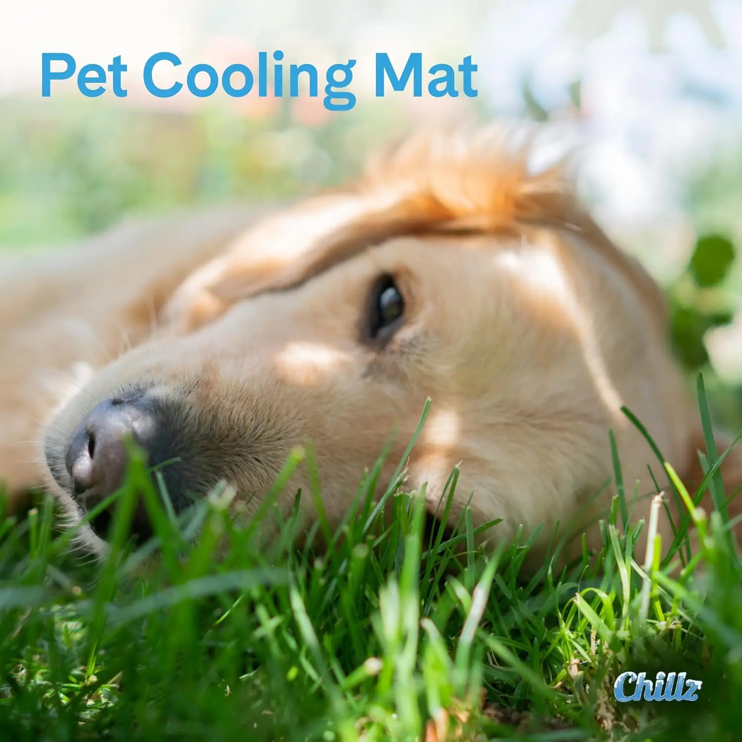 Green Pet Shop  Gel Mat, Med - Self-Cooling for Pets 0-25lbs, Safe, No Refrig, Home/Travel.