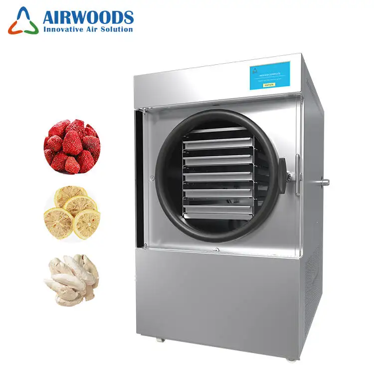 Commercial 20kg Freeze Dry Machine Vacuum Dryer Price fruit food freeze dryer machine for sale