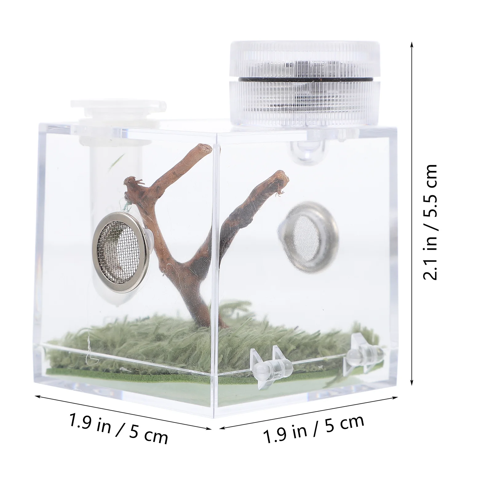 

Jumping Spider Habitat Box High Transparent Cage M Size Easy Observe Clean Prevent Escape Spider Habitat Box House