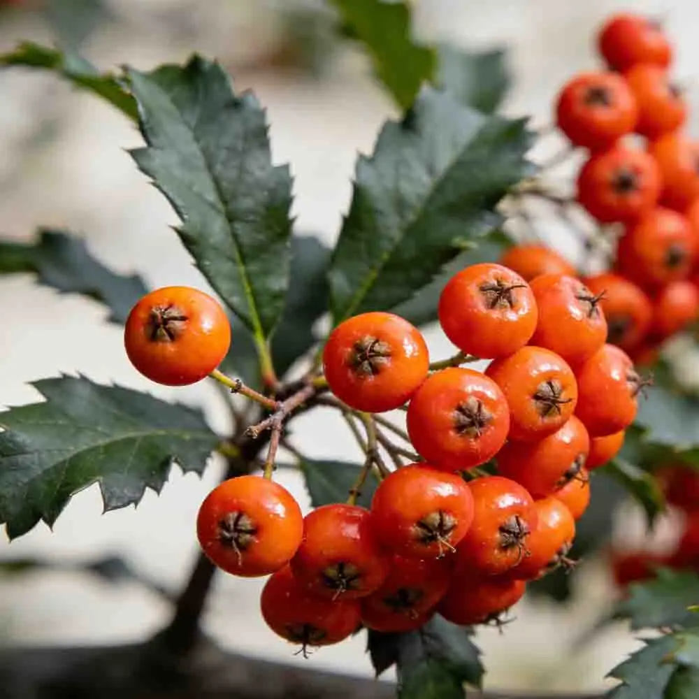 

Рама SpeedyBee 2025 Bee35 3.5" FPV, 153 мм, сверхлегкая, из углеродного волокна, для фристайла и CineWhoop, для дронов с канальным двигателем, DIY-комплект, инструменты для радиоуправляемых моделей