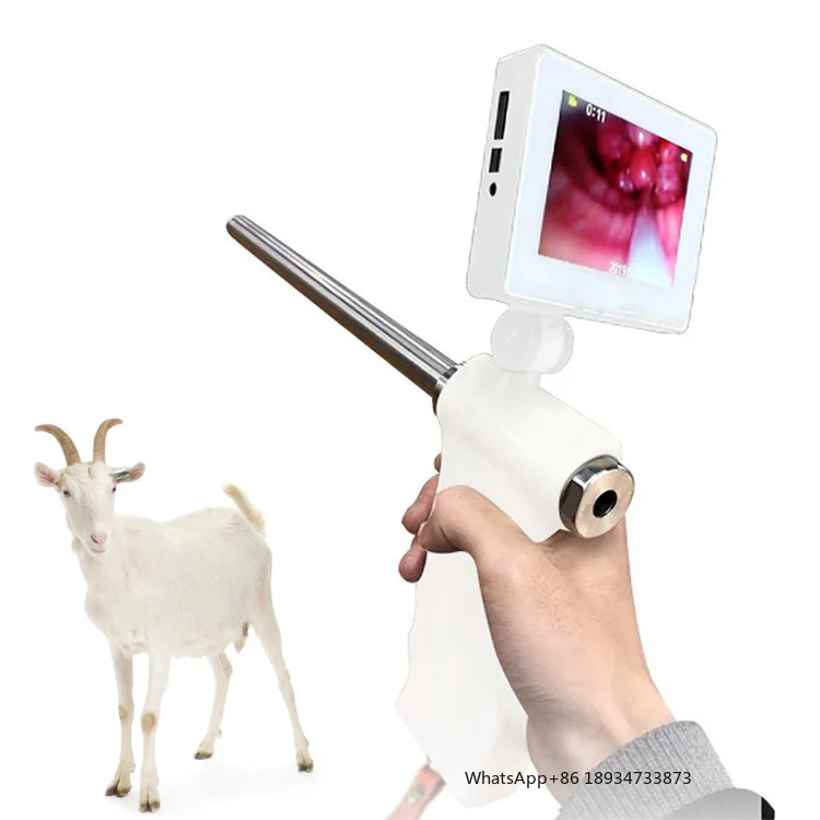 AI Visual goat artificial insemination equipment artificial insemination for cow cattle veterinary insemination instrument