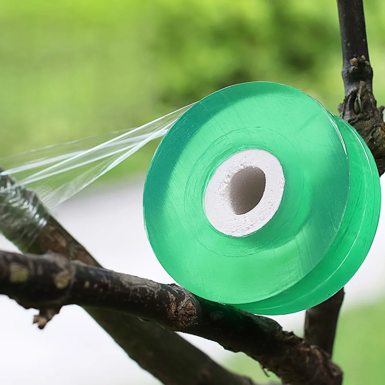 1/2 قطعة-شريط تطعيم من البولي ايثيلين ذاتي اللصق، ملحقات تطعيم شجرة الحديقة القابلة للتمدد، شتلات شتلات الطماطم الكرمة #3