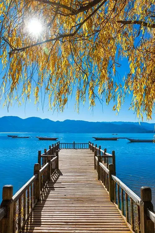 

Car Dashboard Cover Avoid Light Anti-UV Non-Slip Mat For Toyota Hilux 2015 2016 2017 2018 2019 2020 2021 2022 2023 Accessories