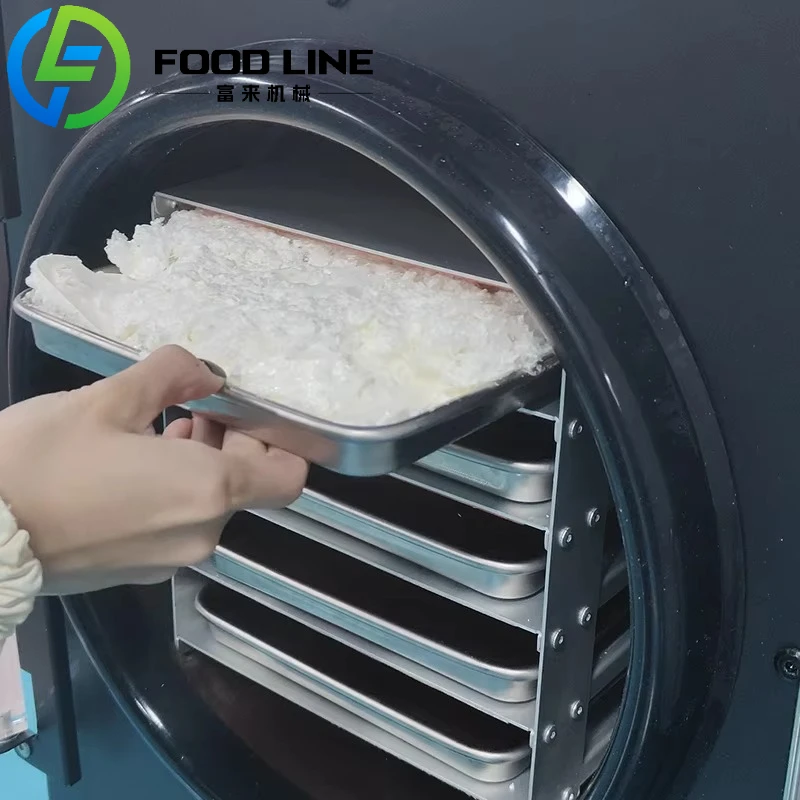 Food Lyophilizer High Quality Mini Freeze Drying Machine Food Fruit Dehydrators Home Freeze Dryer for Sale
