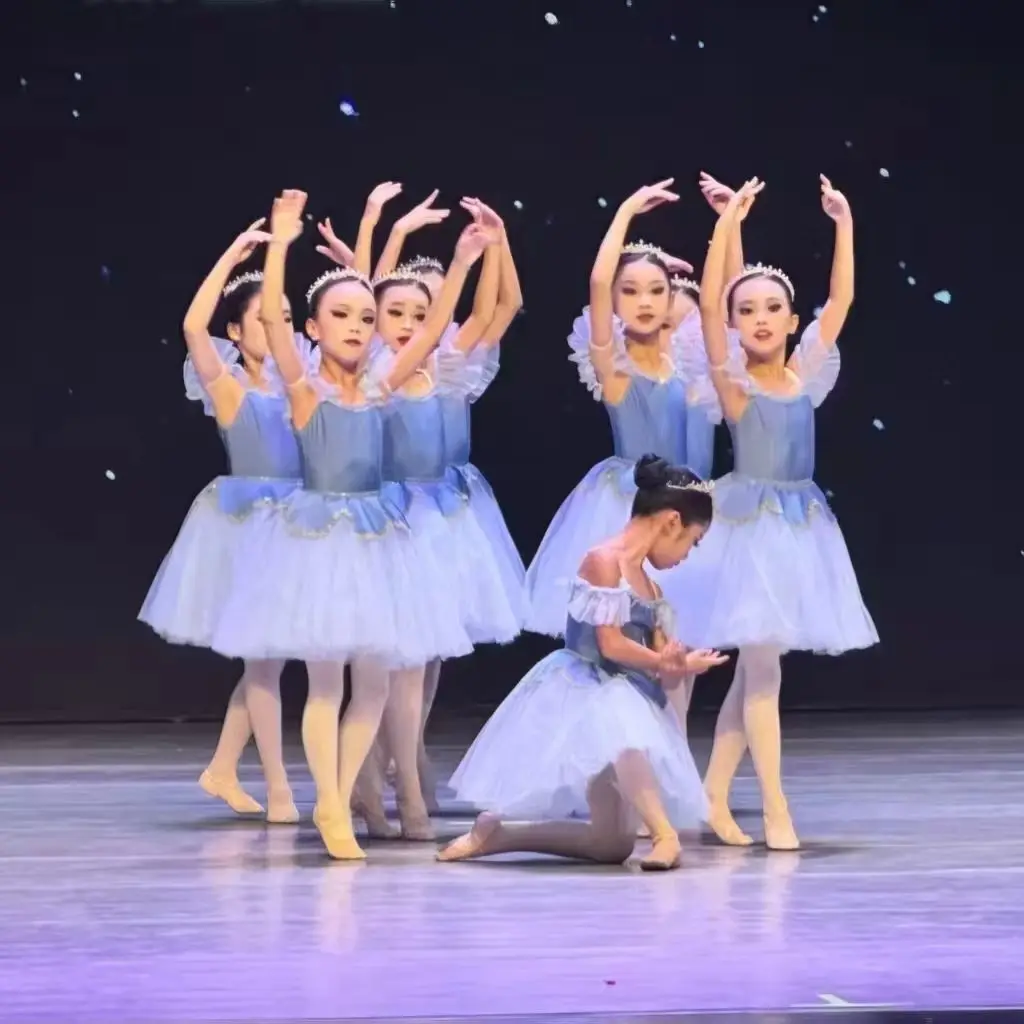 

Тюлевая юбка-пачка для женщин, профессиональное балетное платье для девочек, костюм для выступлений, юбка для танца Лебедя, балетная одежда