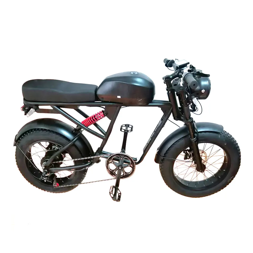 20 Inch Electric Mountain Bike  48V 20Ah 1000 W Powerful Moter Electric Dirt Bike Adult Snow E-bike