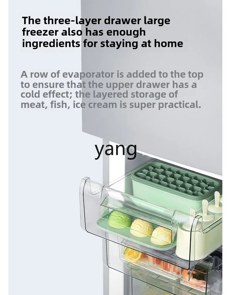 LMM185L double-door household power-saving freezing and refrigeration small refrigerator